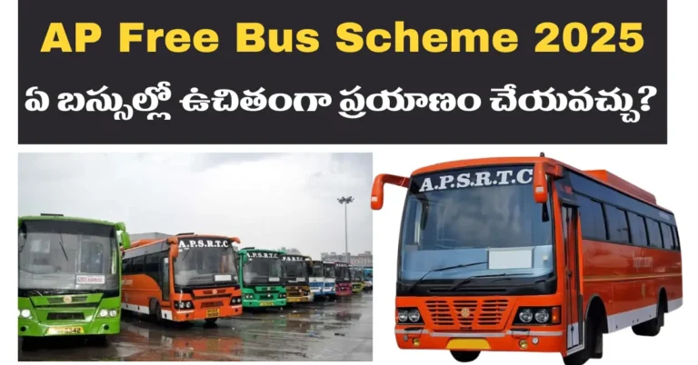 AP Free Bus Scheme 2025