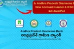 Andhra Pradesh Grameena Bank new account number and IFSC code online in Telugu