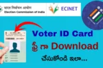 Voter ID Card Download Online